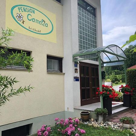 バート・タッツマンスドルフ Haus Camelia Bed & Breakfast エクステリア 写真
