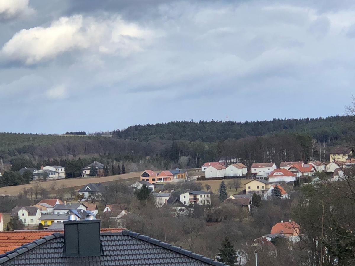 バート・タッツマンスドルフ Haus Camelia Bed & Breakfast エクステリア 写真