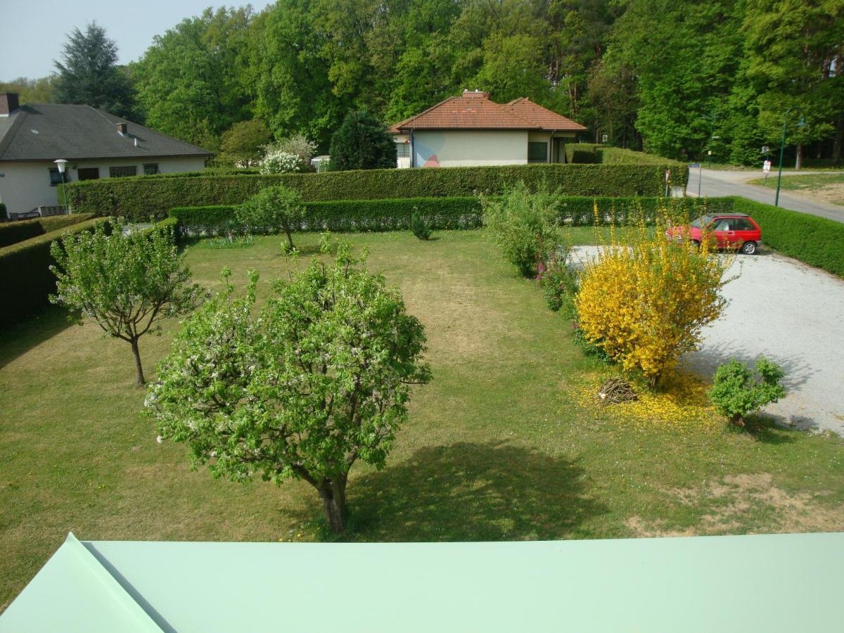 バート・タッツマンスドルフ Haus Camelia Bed & Breakfast エクステリア 写真