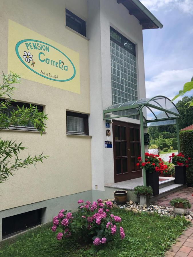 バート・タッツマンスドルフ Haus Camelia Bed & Breakfast エクステリア 写真